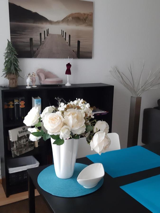 City Apartment Tuebingen-Lustnau Εξωτερικό φωτογραφία